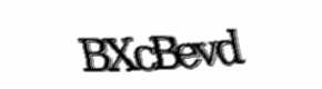 Security check image, please type the characters shown