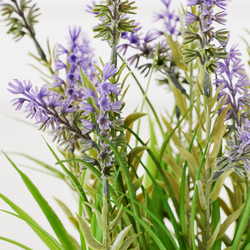 potted lavender plant