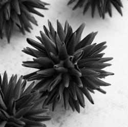 Faux Allium Sphere - Set of 9