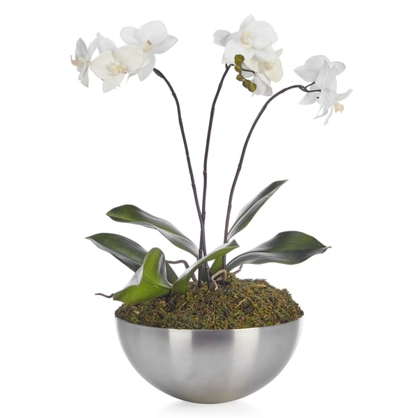 Faux Potted Phalaenopsis