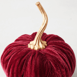 Velvet Pumpkin