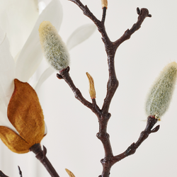 Velvet Magnolia - Set Of 3