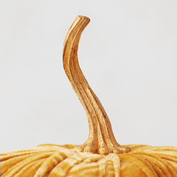 Velvet Pumpkin