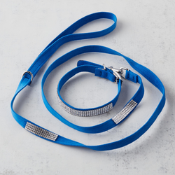 Crystal Nylon Pet Leash