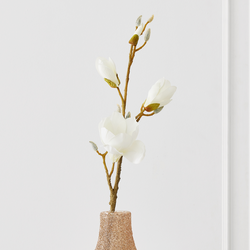 Velvet Magnolia - Set Of 3 | Zgallerie