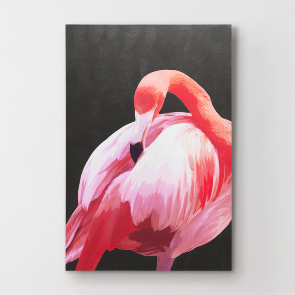 Coral Flamingo 4
