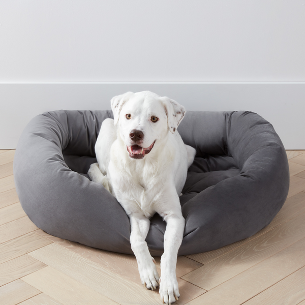 bowsers donut dog bed