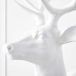 White Majestic Deer