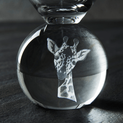 Animal Martini - Set of 4