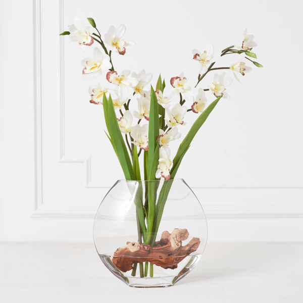 Cymbidium In Glass Vase Zgallerie