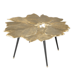 Ginko Coffee Table