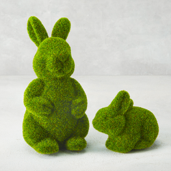 Moss Bunny