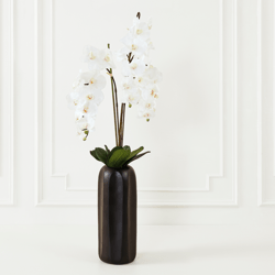 Nikki Chu - Orchid In Black Vase