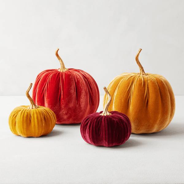 Velvet Pumpkin