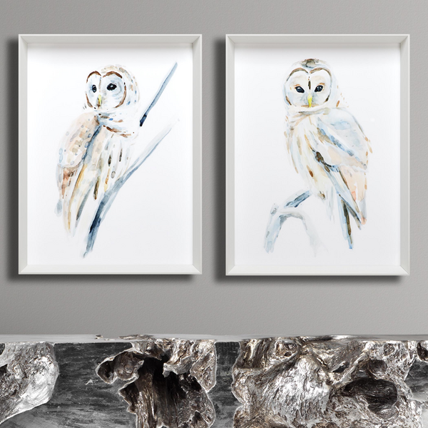 Arctic Owl 2 | Zgallerie