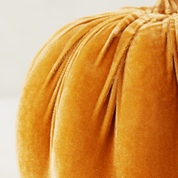 Velvet Pumpkin