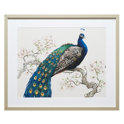 Peacock And Blossoms 1