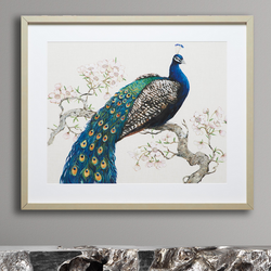 Peacock And Blossoms 1