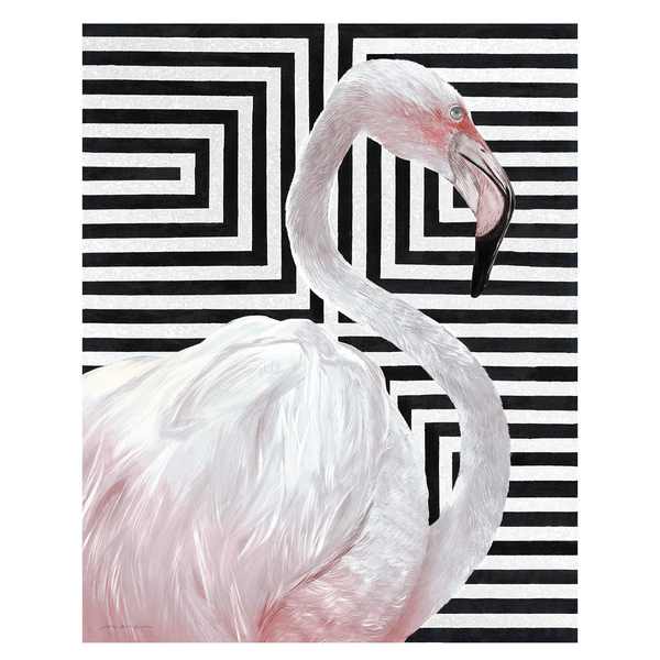 Blush Flamingo 1