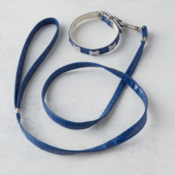 Crystal Bones Leash - Blue