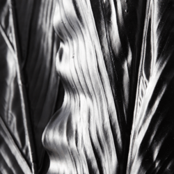 Canna Leaf - Set of 3