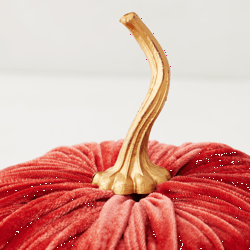 Velvet Pumpkin