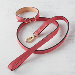 Italian Leather Leash - Pink