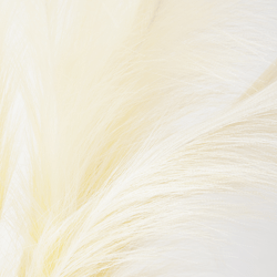 Plume In Kendall Pot