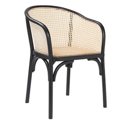 Zaria Arm Chair - Black