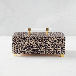 Pastel Cheetah Jewelry Case