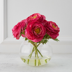 Ranunculus In Glass - Fuchsia