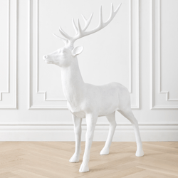 White Majestic Deer