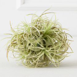 Faux Airplant Sphere