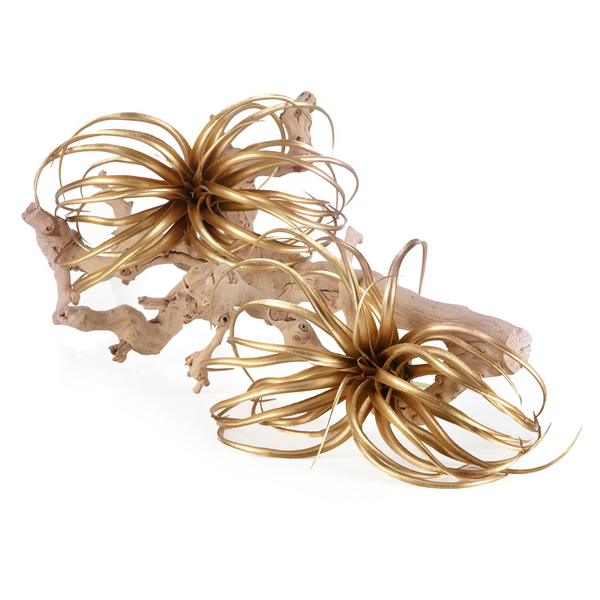 Faux Air Plant