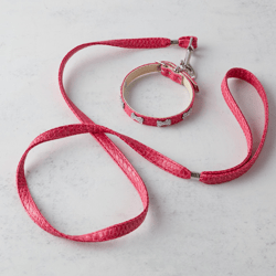 Crystal Bones Leash - Bright Pink