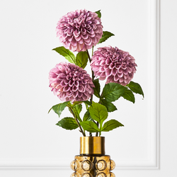 Dusty Purple Bulb Dahlia - Set of 3