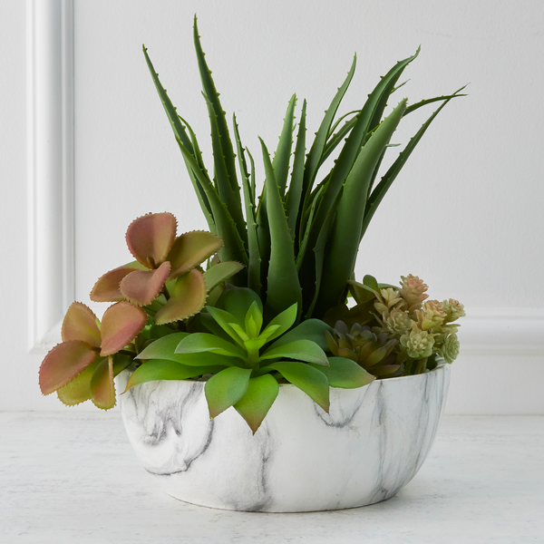 Mixed Succulent With Marble Pot