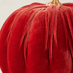 Velvet Pumpkin